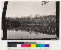 Looking across Moraine Lake. Lodgepole pine type bordering lake; Foxtail pine-Lodgepole pine on ridge. White pine is also present