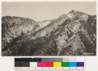 South slopes at headwaters of Bear Canyon. Shows mixed chaparral type Quercus dumosa, Quercus wislizenii and Quercus chrysolepis, Arctostaphylos tomentosa and Ceanothus divaricatus. Also barren and semibarren areas and fingers of bigcone spruce