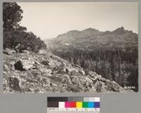 From point east of Blue Lakes Road. Semi-barren Lodgepole pine type containing some western white pine