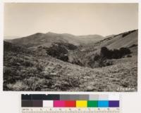 Kern County. Looking west at area on Tejon quadrangle. Sage type in foreground:Eriogonum fasciculatum, Chrysothamnus nauseosus viscidiflorus, Ephedra sp., Stenotopsis linearifolious interior with occasional Ceanothus greggii, Cercocarpus betulaefolius. Woodland type in middleground is valley oak with ground cover of grass and sage. Latter consists of Chrysothamnus and Eriogonum spp