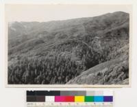 Direction NW. Vegetative types; Redwood, Chaparral. Species: R, D, Af, Cri, Ct. Location on knoll east of CCC camp across Fern Canyon. Looking into fern canyon, between mouth and where the road crosses