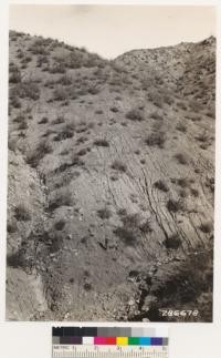 Ventura County. Looking northeast at area eroded as result of 1932 fire. Type: Quercus dumosa and Cercocarpus betulaefolius