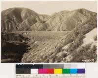 Foreground on right chamise type. Note knobcone pine at right. Mixed chaparral on north slopes, chamise on south. Benches are heavy to Ceanothus divaricatus. (Also contains print of No. 241651)