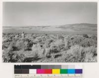 Reno Quadrangle, Nevada. Looking east from Spanish Springs Valley to grassy slopes, formerly sage covered, now with Artemisia tridentata dead or dying (due to drought?) Supporting mainly Bromus tectorum