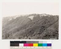 Looking north. Note chaparral type on south is west exposure. Adenostoma fasciculatum on steep south faces. Arctostaphylos tomentosa on ridge crests. Mixture of other species on other exposures: Woodland of Quercus agrifolia is Umbellularia californica. Also note grass type on adobe soils along upper slope and crest of range. Opposing north and east slopes with Douglas fir, Tanbark oak and Madrone