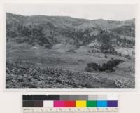 Looking S. At lower Jeffrey pine timber line showing change from pine to sage after constant attrition by fire. Note snags. Dark shrubs in timber are Cercocarpus ledifolius, lighter ones Artemisia tridentata