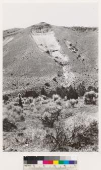 Reno Quadrangle, Nevada. 5 miles east of Tule Peak. Erosion scar on steep Rhyolitic slope in sagetype. Dominant species in vicinity is Artemisia tridentata