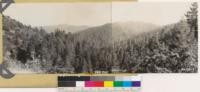 Panorama of Douglas fir type looking southeast and south. Following species present on rocky south slope in foreground: Quercus garryana var. breweri, Garrya fremontii, Arctostaphylos nevadensis, Arctostaphylos glandulosa