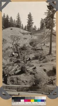 Erosion northerly slope on cleared Redwood-Douglas fir site. Ogles ranch. Area grazed by sheep