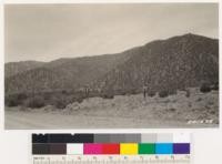 Juniper sage type in foreground. Pinon types on slope. (North slopes of Pleasant View Ridge)