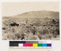 Looking southeast at northwest slope of Pine Mountain. Note western yellow pine and Black oak on the deeper soils. Chamise type on eroded areas with shallow soil