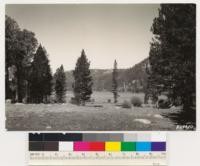 Looking west across Grass Lake Meadow. Note Aspen, willow and Lodgepole pine fringing meadow. South slopes shown support Jeffrey pine stands