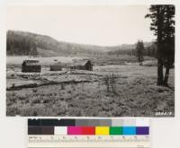 Looking south across Charity Valley. Valley surrounded by Lodgepole pine. Artemisia tridentata in foreground