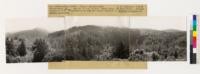 Cahill Ridge, San Mateo County. Panorama looking NW to S. Shows Douglas fir type and coastal sagebrush of Baccharis pilularis and Rhamnus californica