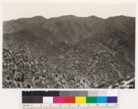 Looking south from point on Big Pine-Cuyama Valley Road. Shows chaparral and canyon oak types which have replaced bigcone spruce. Note relicts of this conifer