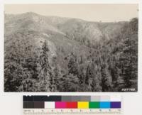 Redwood-Douglas fir area denuded by logging and fire. Note active erosion in open chaparral type. Dominant species in dense brush type is Ceanothus thyrsiflorus