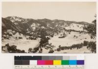 Looking north from same point as # 229568. Note chamise spots, grassland, and grassy woodland type. Species represented in woodland are Douglas oak, Garry oak and Black oak