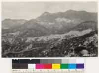 Looking northeast across Gold Creek Canyon. Note sandstone outcrops and chamise and chamise-ceanothus types. Area last burned in 1919. Los Angeles County