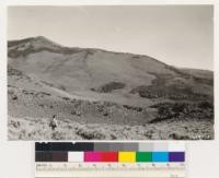 Two miles north of Bald Mountain. Looking south. Shows aspen (lower right) and Cercocarpus ledifolius (upper left) formation in sagebrush type (Artemisia tridentata)