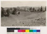 Crater in Harkness Mt. Lassen Volcanic Peak. Manzanita with alpine vegetation type on slope. Trees are red fir , white pine, black hemlock. Bontes Mt. to right just across canyon