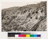 (Same as No. 255653). Redwood-Douglas fir areas on south slopes of Pescadero Creek logged fall of 1929. Note erosion effects of one rainy season. Has there been a reduction in site?