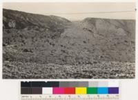 Sage-Juniper type and Pinon woodland type along Mescal Creek. Area shown lies in section 15, 16, 17, of T.4 N and R. 8 W, SBM