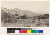 Slopes on edge of desert. Largely Eriogonum fasciculatum and sages