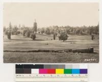 Looking southeast at open woodland type of Interior live, Douglas and Black oak. Ponderosa pine site (Index 60). Note relict pines