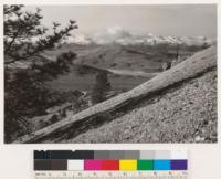 Typical porphyritic outcrop, the parent soil for Pinus jeffreyi on the outskirts of its range near Virginia City. Mt Rose is in the distance. Elevation of photograph 5400