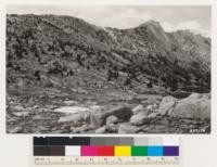 Semibarren Whitebark pine type. Associated shrub is Salix sp.. Semibarren meadow in foreground. Crown Point and Snow Lake at left