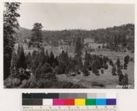 Looking west from point on Sierraville-Truckee Highway. Shows cut-over land in Jeffrey pine type. Note young age class, also Aspen and Meadow. Wyethia mollis, Artemisia tridentata