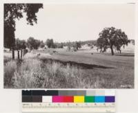 Between Cool and Pilot Hill. Irrigated pasture. Note interior live oak encroachment on slope grassland area (former ponderosa pine site) in the background. El Dorado County