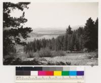 Looking south across Hope Valley. Note willows, aspen, Jeffrey and Lodgepole pine