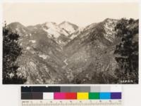 View up toward the head of Eaton's Canyon showing the large barren areas and the cliffs at the head of the canyon. Individual specimens of Arctostaphylos glauca may be seen in the lower right