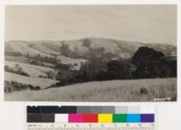 Black Mountain, Santa Clara County. West face of Black Mountain. Douglas fir in bottom