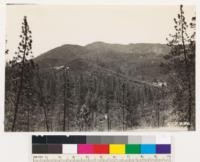 Looking west at chaparral type with Coulter pine relicts. Chaparral is Adenostoma fasciculatum with Arctostaphylos glandulosa and A. glauca