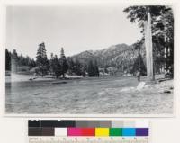 Near Summit of Mt. Rose road. Mountain meadow surrounded by lodgepole pine, Pinus albicaulis, Pinus contorta var. murrayana. Assoc. sp.: Veratrum californicum. Washoe (Nev.) County