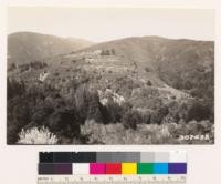 Looking northeast across Los Gatos Creek at chamise chaparral slopes. Potential Douglas fir site as indicated by restocking of this species in clearing and eroded areas