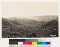 Looking north into cut over Redwood-Douglas fir lands of the San Vicente Lumber Co. Last burned 1917. Logged and burned prior to that year. Present types are brush. Ceanothus thyrsiflorus and woodland (Tanbark oak and Madrone)