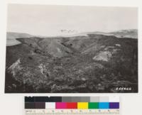 Looking west of north at steep southerly slopes with Baccharis pilularis, Artemisia californica, Rhus diversiloba and v. Note scattered clumps of Ceanothus thyrsiflorus and Douglas fir individuals. Monterey shale is near surface