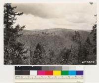 South slope near Weimar, formerly Douglas fir-canyon oak type, broken down by numerous fires and grazing