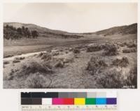 Shows Cuddy Valley meadow surrounded by sagebrush (Artemisia tridentata, Chrysothamnus sp.) and pinon type with scattered Jeffrey pine, Arctostaphylos parryana and Quercus dumosa