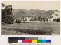 Scott Valley, Lake County, looking east at grassy woodland-chamise -mixed bush