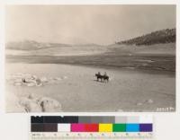 Siberian Outpost, showing meadow surrounded by barren areas. Foxtail pine on slopes to timberline