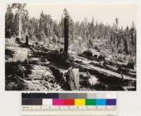 Head of Alder Creek. Looking east at southerly slopes. Selectively logged red fir stand on private land. Logged about 1924 for pulpwood