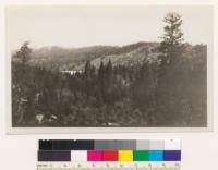 Looking north at dam of Bass Lake. YP type, old burn to right, Sierra national Forest