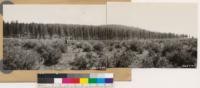 Panorama of Timber Mtountain looking south from southwest quarter of Sec. 16, T. 44 N, R. 6E. Site IV Ponderosa pine type. Foreground sagebrush type of Artemisia tridentata