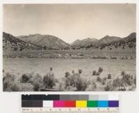 Looking N across Sacatar Valley, Tulare County. Pinon and Artemisia tridentata principal dominants. Note Newman homestead, also occasional Jeffrey pine as well as type of that species toward summit of distant mountains