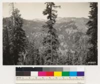Head of Alder Creek. Looking north showing typical fir belt, timber chiefly Red fir