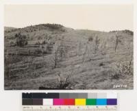 Tulare County. Views showing type change in pinon-sagebrush types a result of burn. Burned area in foreground covered by Eriogonum baileyi and deflexum with occasional thistle sage and sprouts of Purshia tridentata. Pinon, Chrysothamnus sp. and Artemisia tridentata has been eliminated a result of fire